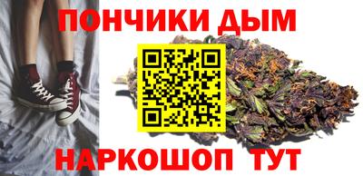 шишки Гусиноозёрск