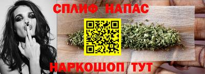 шишки Гусиноозёрск