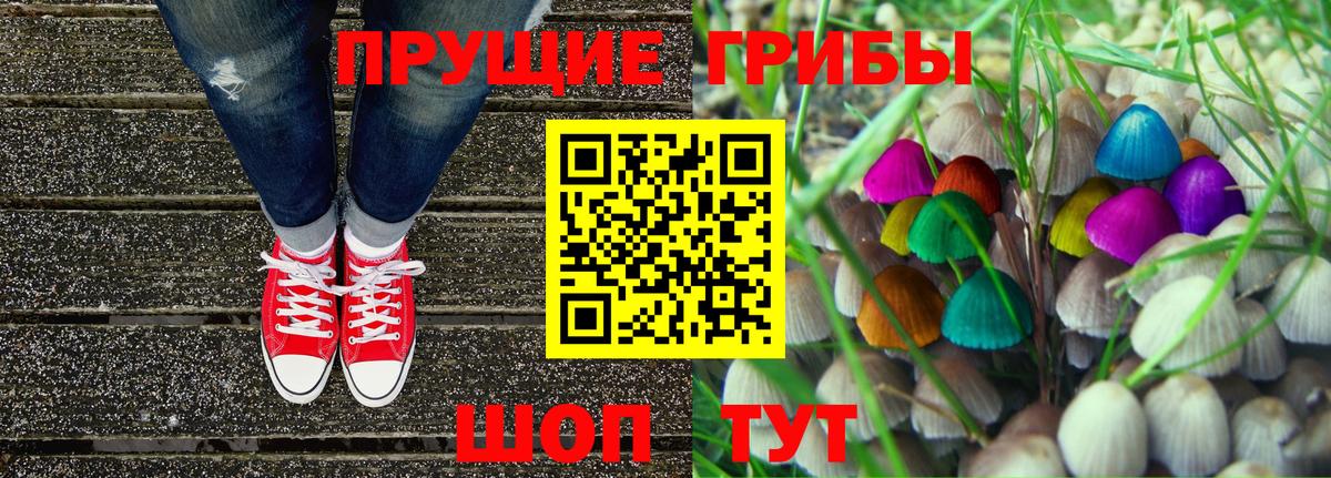 Галлюциногенные грибы Psilocybe  Вход с VPN  продажа наркотиков  Отрадное 